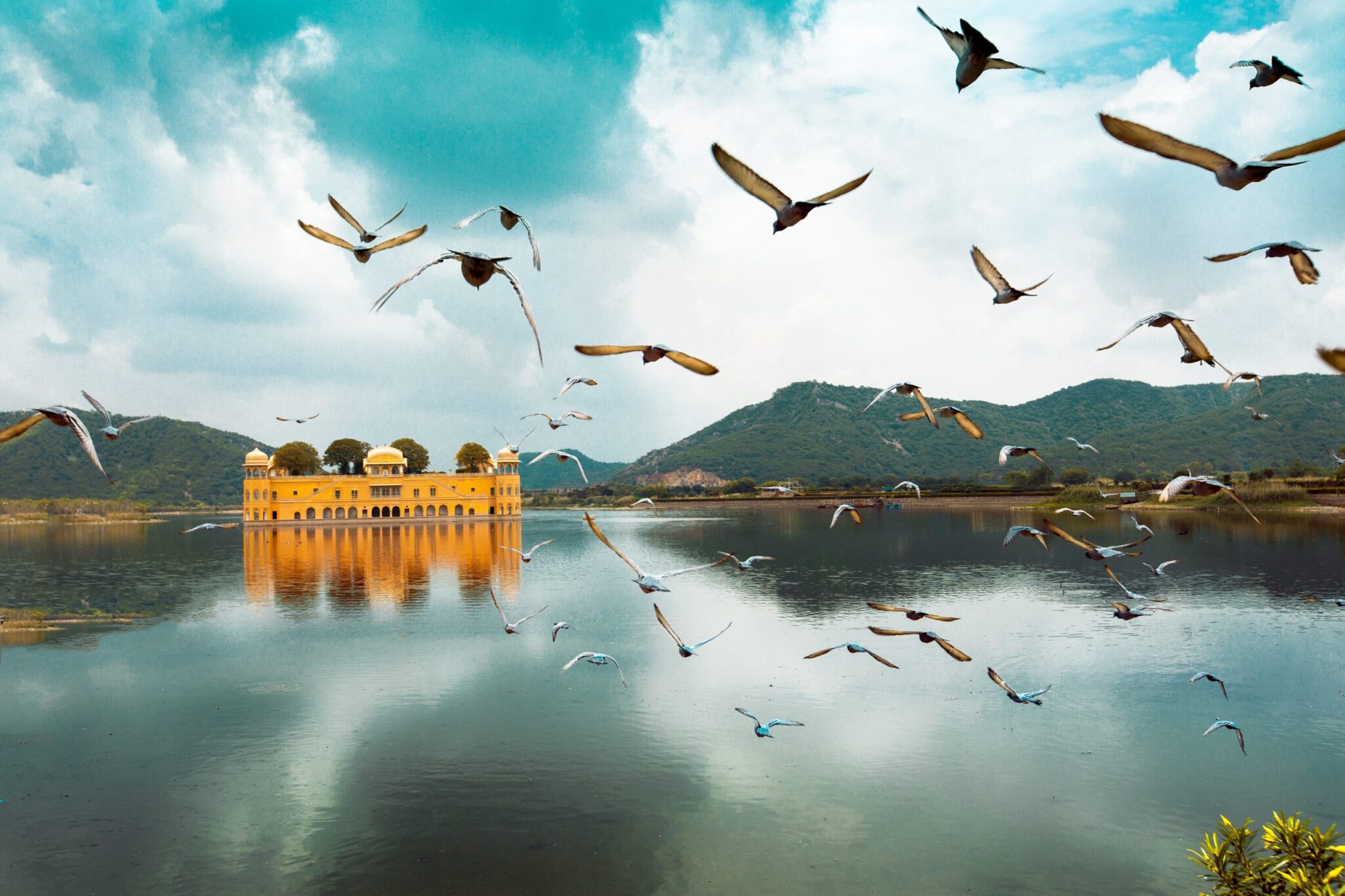 Discover the Majestic Fort and Wildlife