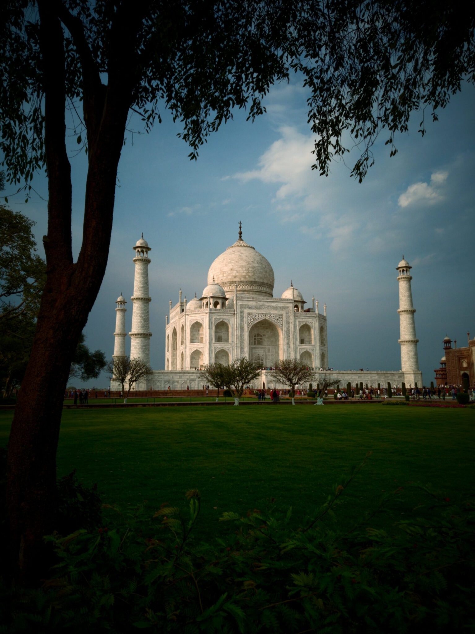 Taj Mahal and Rural Vibes
